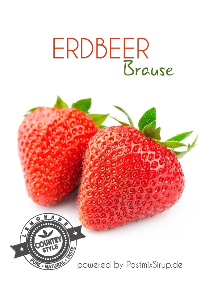 Erdbeer-Brause Postmix 10l